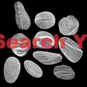 Beach pebble montage
