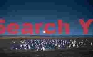 Gentoo penguin nesting colony under full moon