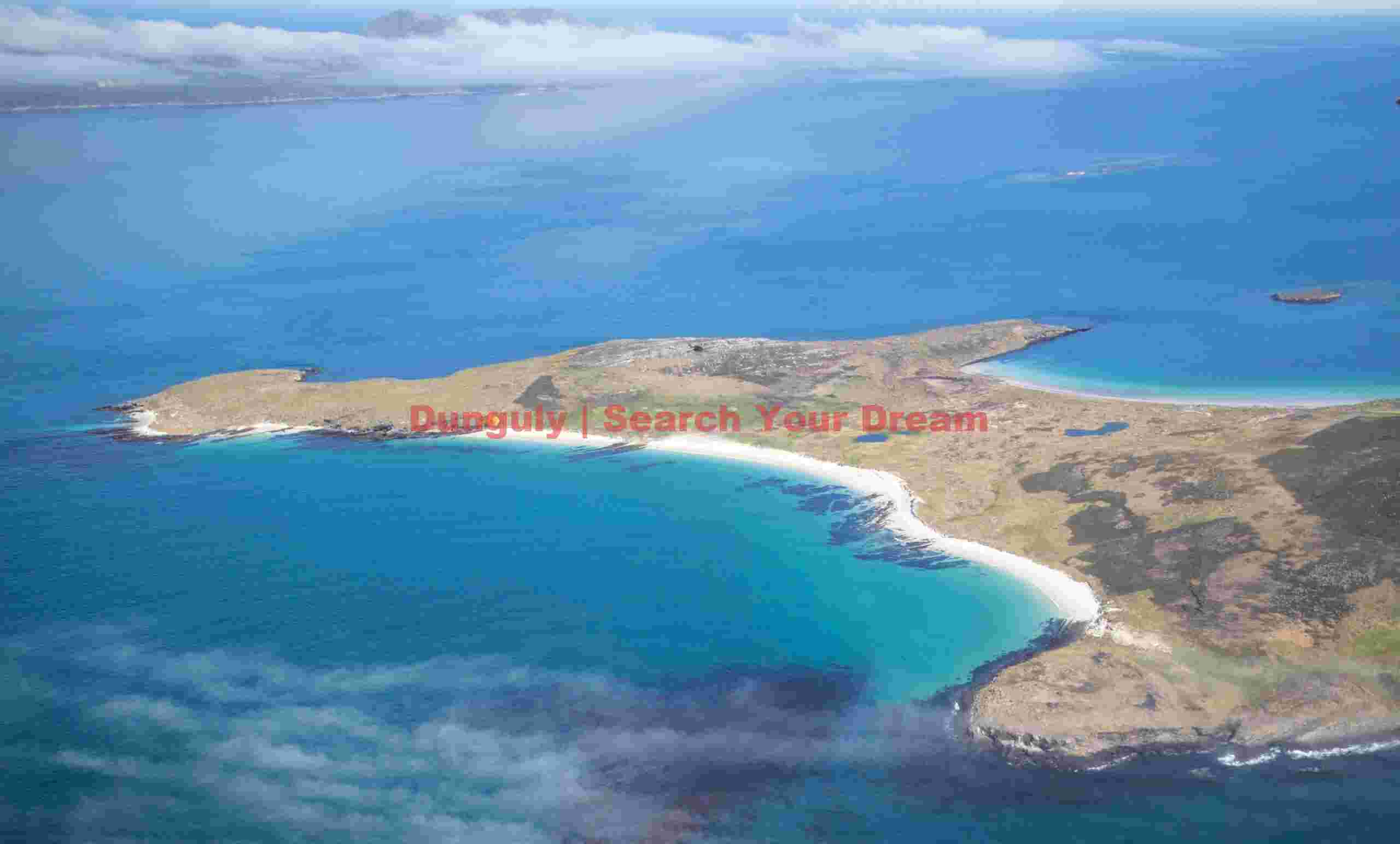 Leopard beach, Carcass Island Leopard beach, Carcass Island