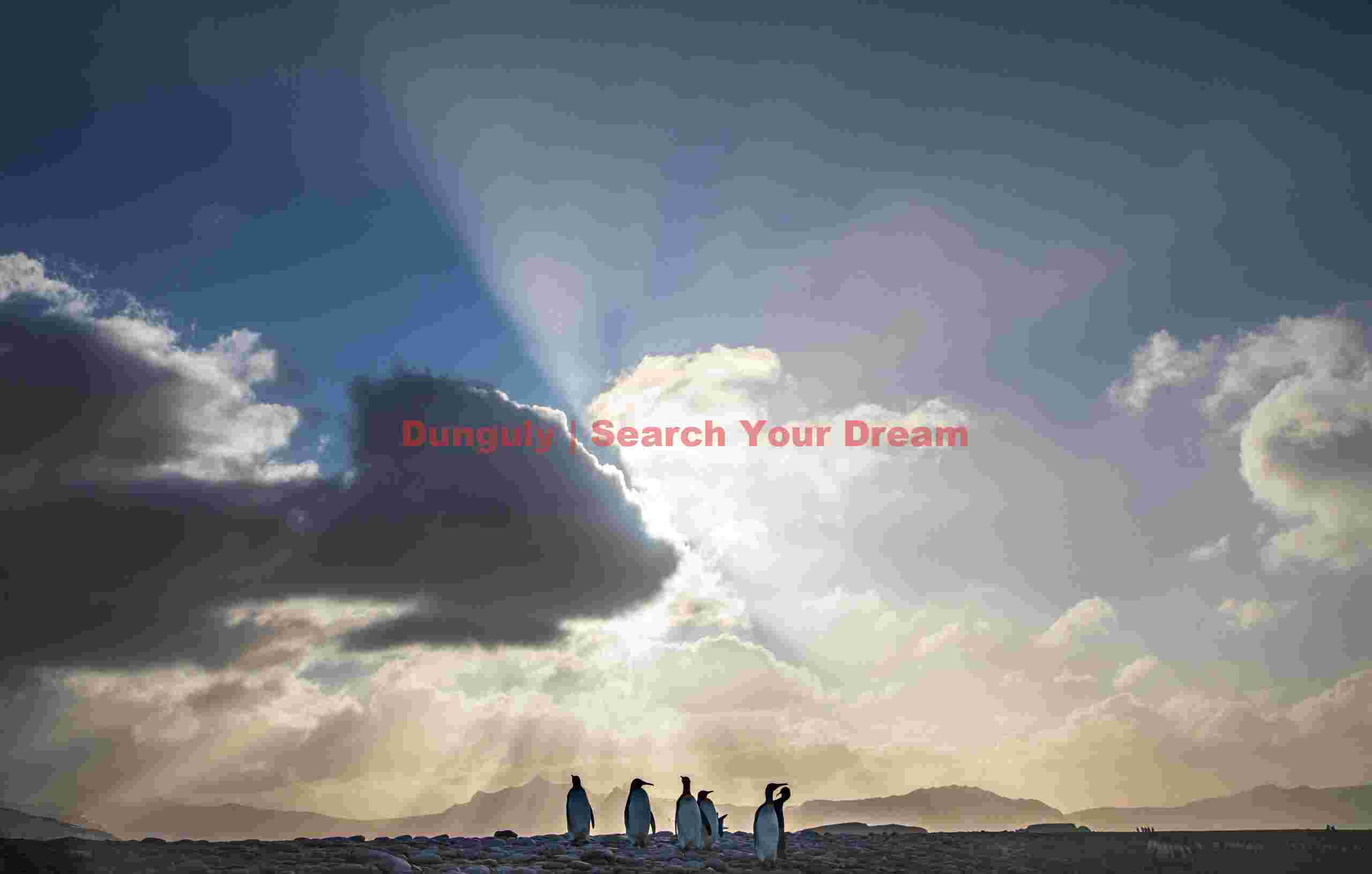 Penguins with God-rays #1; Salisbury Plaing, South Georgia Penguins with God-rays #1