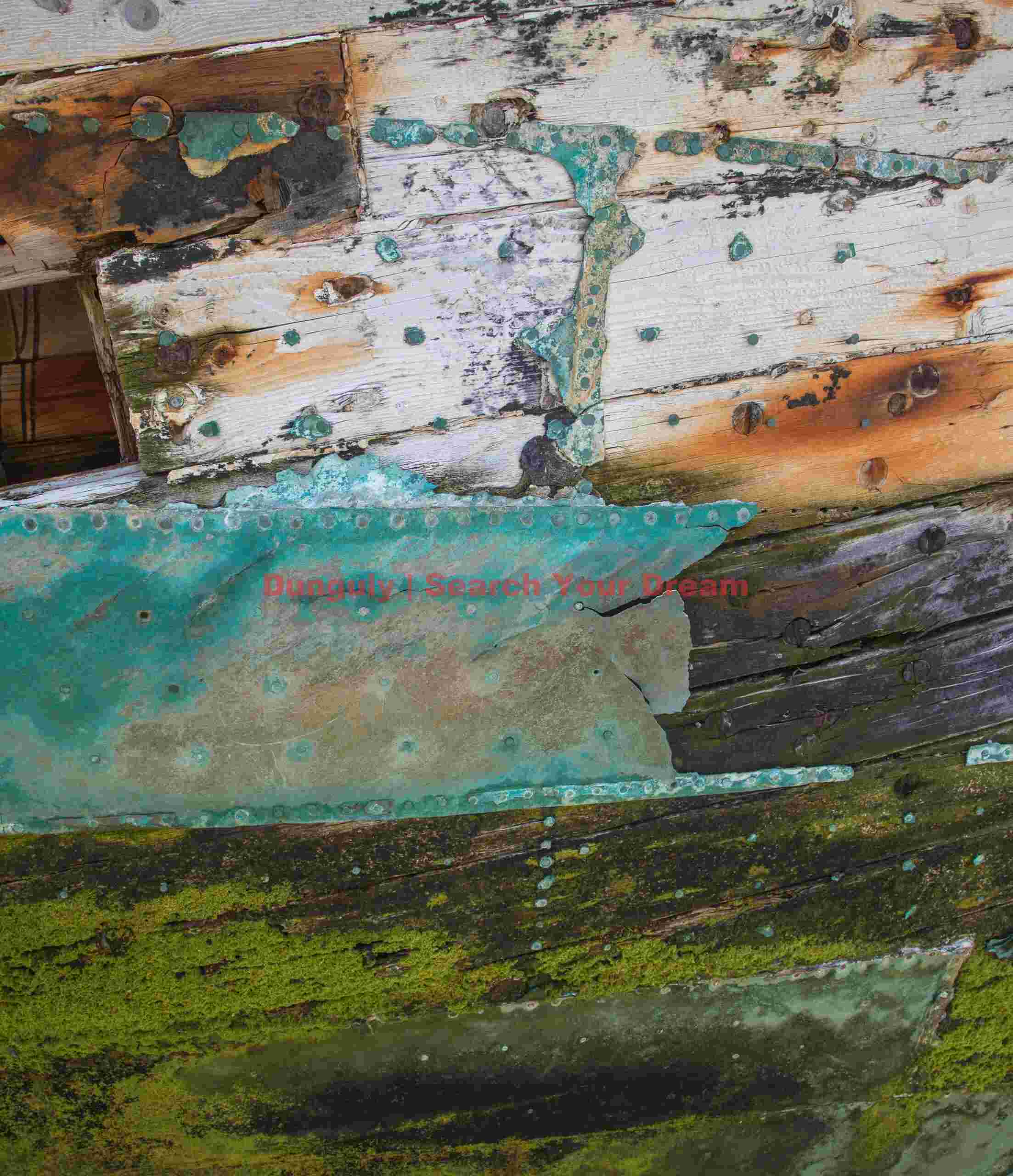 Planking and remains of copper-shipwreck, the Protector III; New Island, Falkland Islands Planking and remains of copper-shipwreck, the Protector III