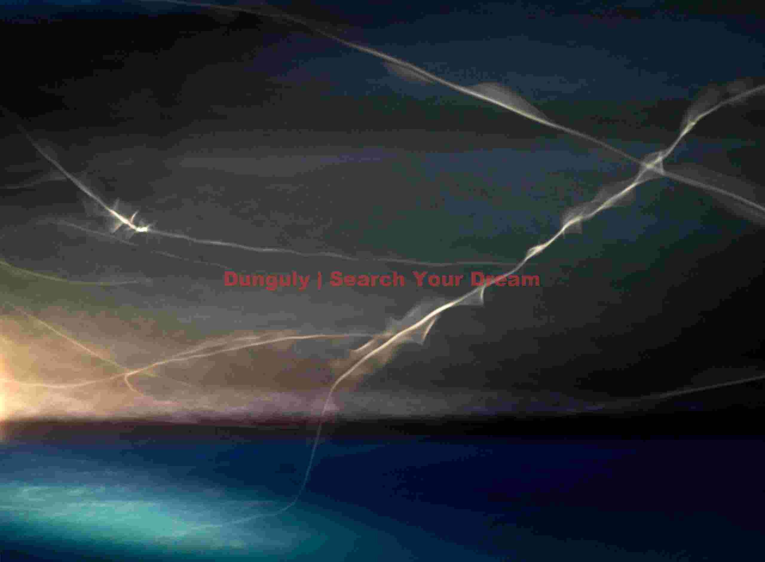Prion light-trailsover water by ship's searchlight; Falkland Islands Prion light-trailsover water by ship's searchlight