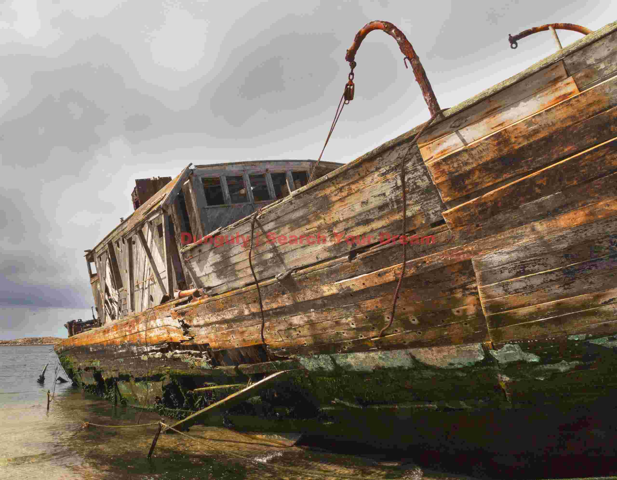 Shipwreck, the Protector III; New Island, Falkland Islands Shipwreck, the Protector III