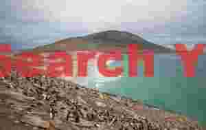 View over the Neck of Saunders Island from the rockhopper rookery