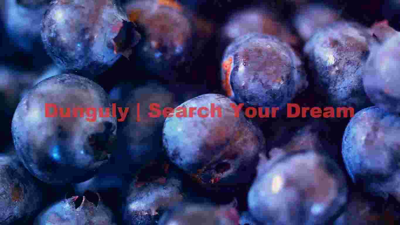 Midnight Gems: A Luminous Blueberry Macro Portrait Midnight Gems: A Luminous Blueberry Macro Portrait