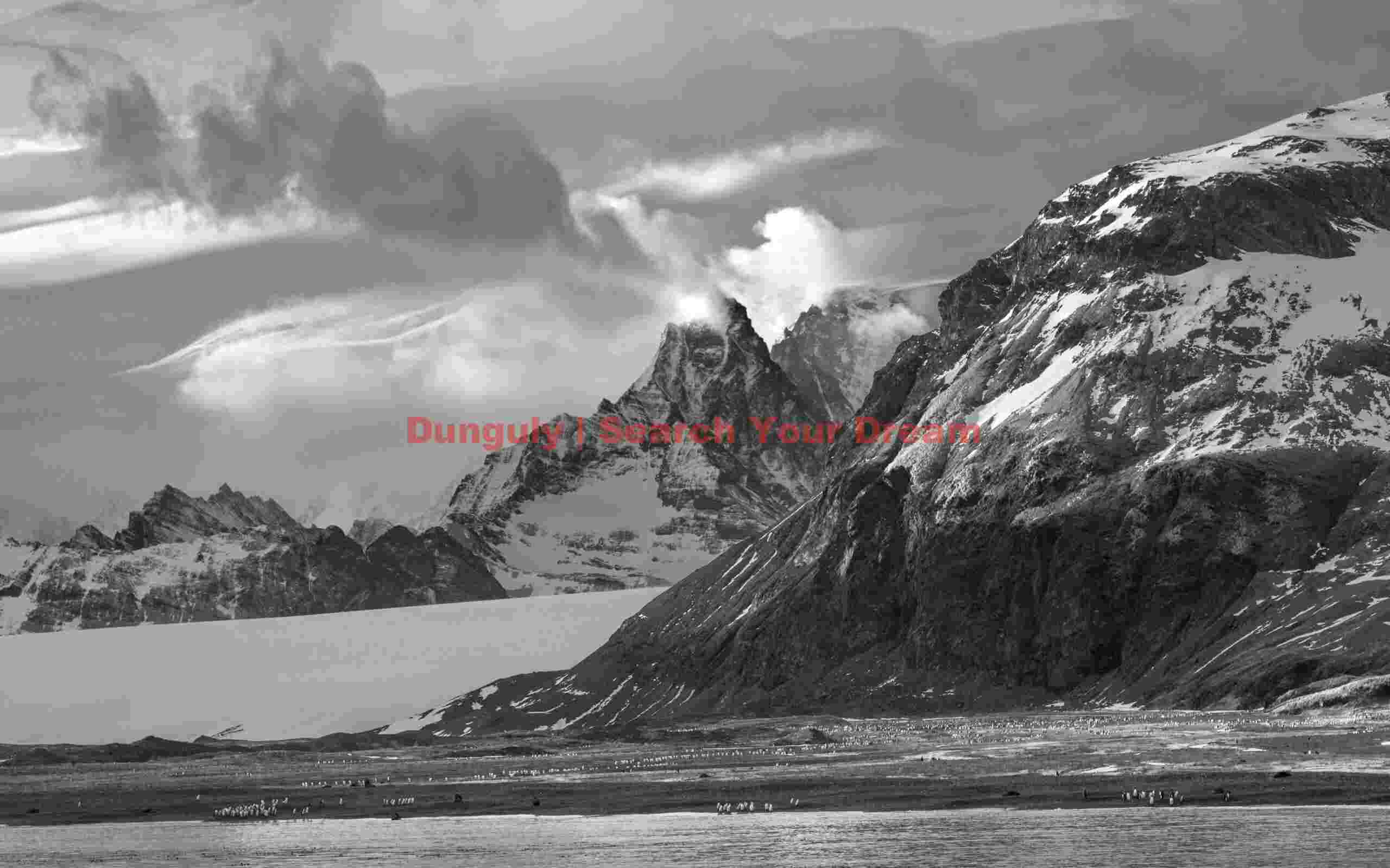 Fortuna Bay cloudscape with penguins; South Georgia Fortuna Bay cloudscape with penguins