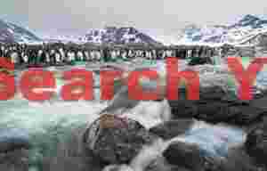 Glacial stream cascade with penguins