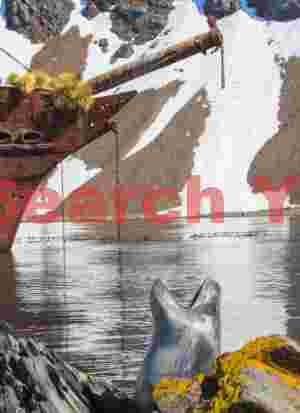 Leopard seal under the prow of the Bayard