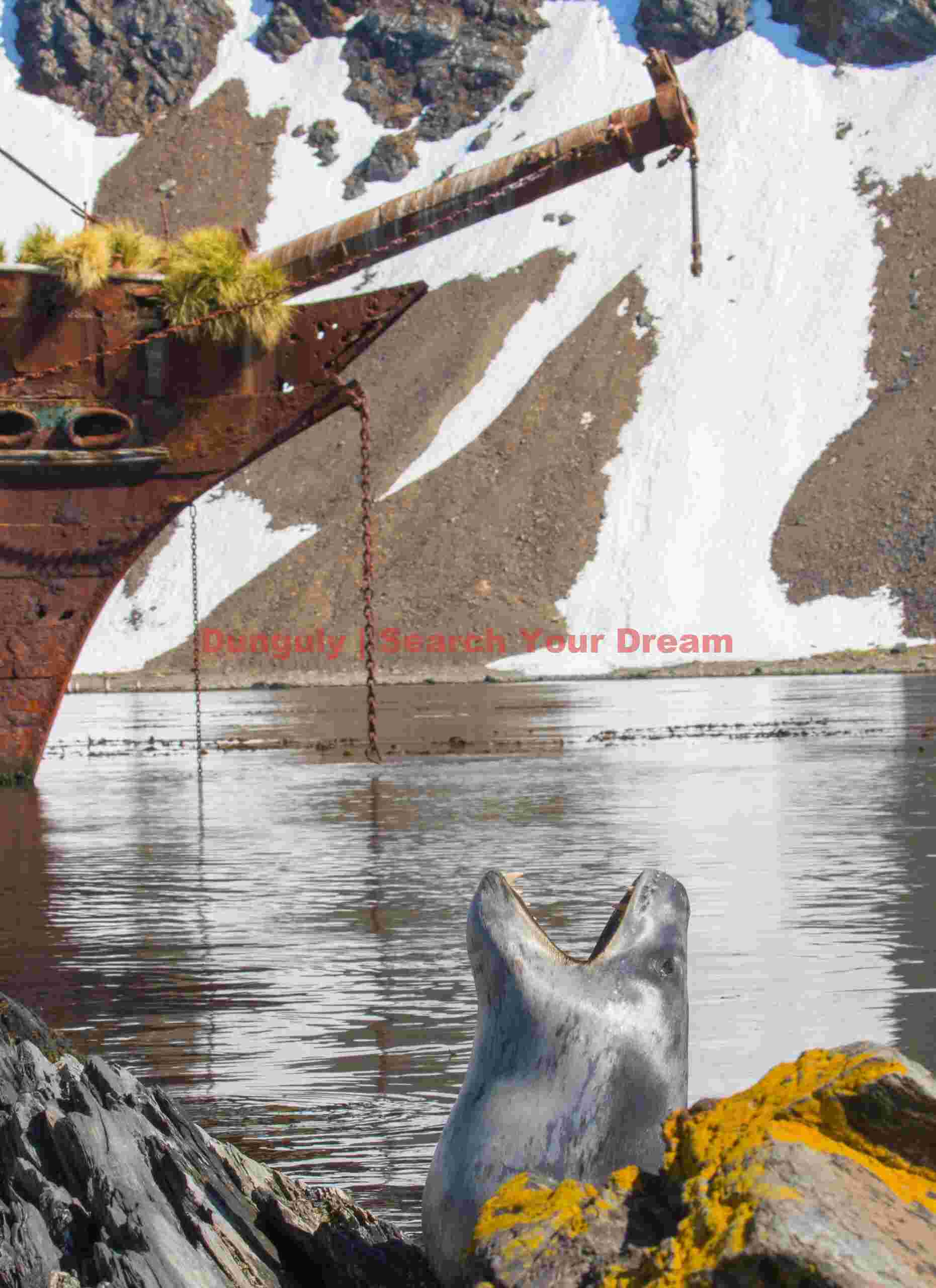 Leopard seal under the prow of the Bayard; Ocean Harbour, South Georgia Leopard seal under the prow of the Bayard