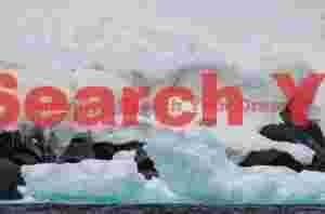 Wild Arctic: Fox, Snow, and Luminous Blue Ice