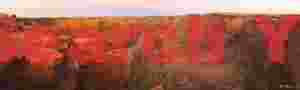 sunset 1221