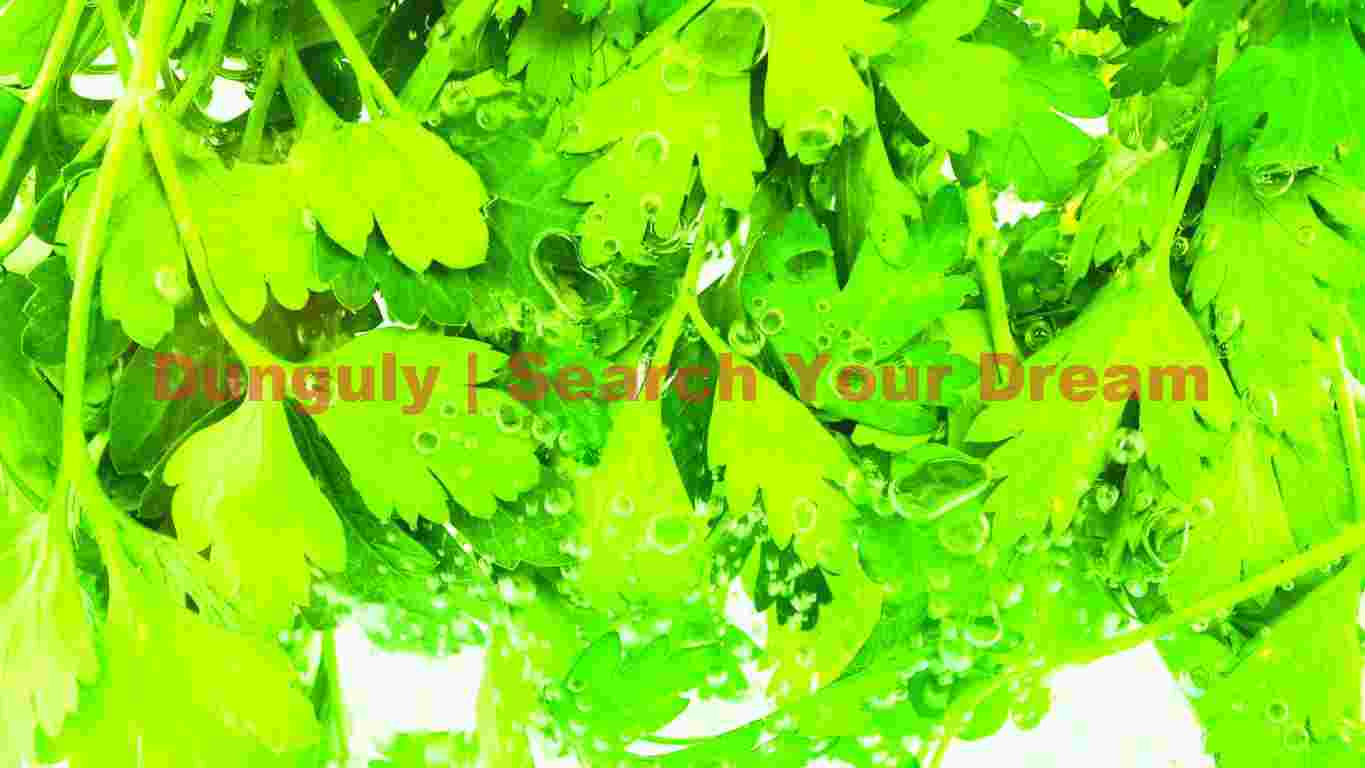sunset 1810 sunset 1810