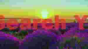 sunset 573