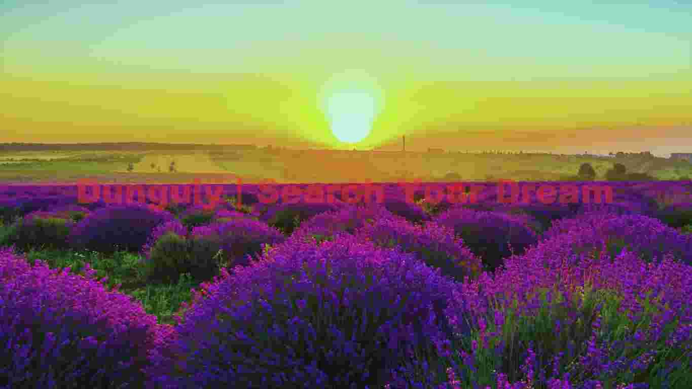 sunset 573 sunset 573