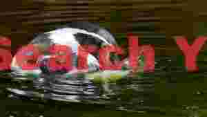 african penguin preening in dark water