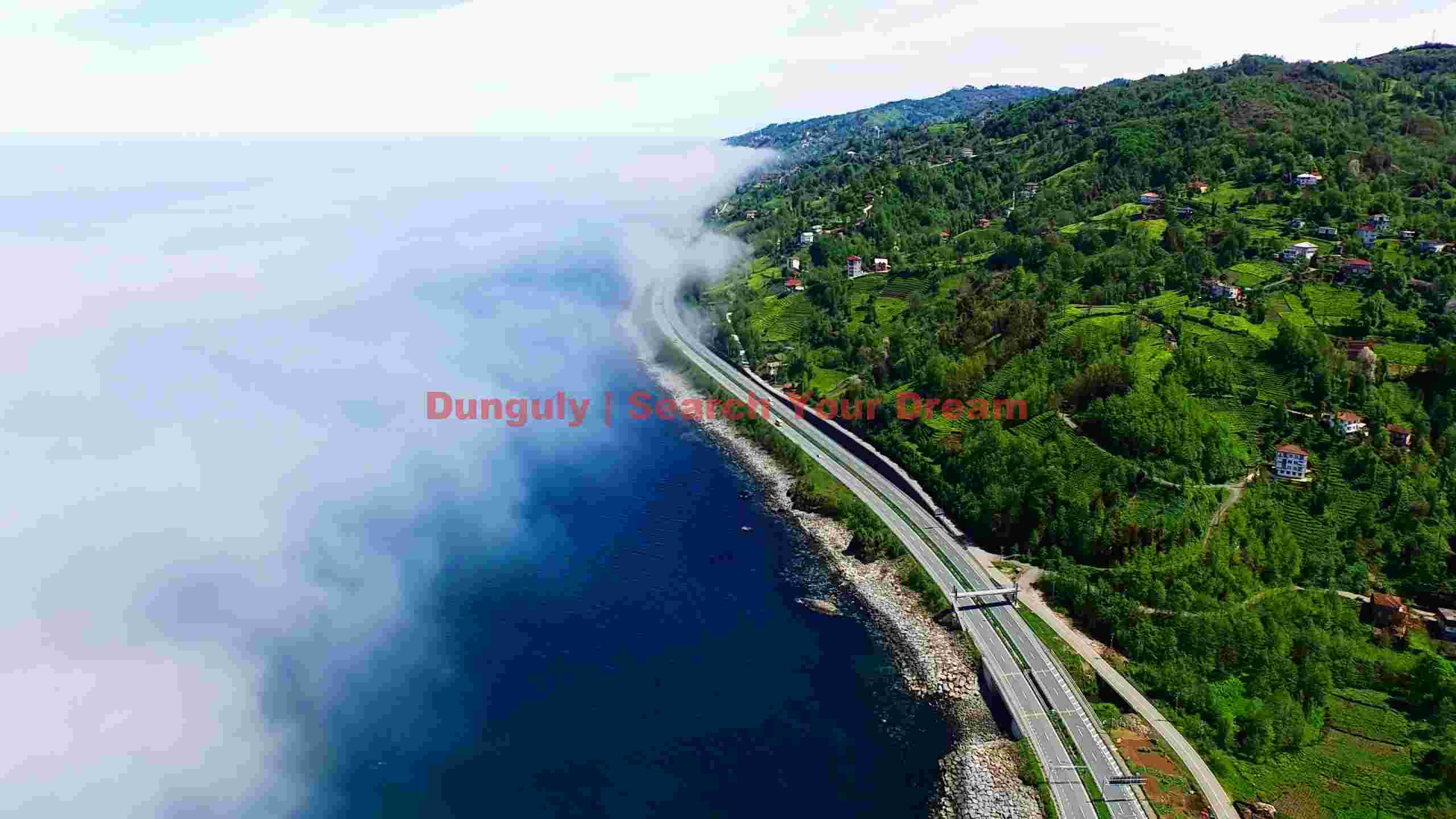 coastal serenity fog kissed highway coastal serenity fog kissed highway