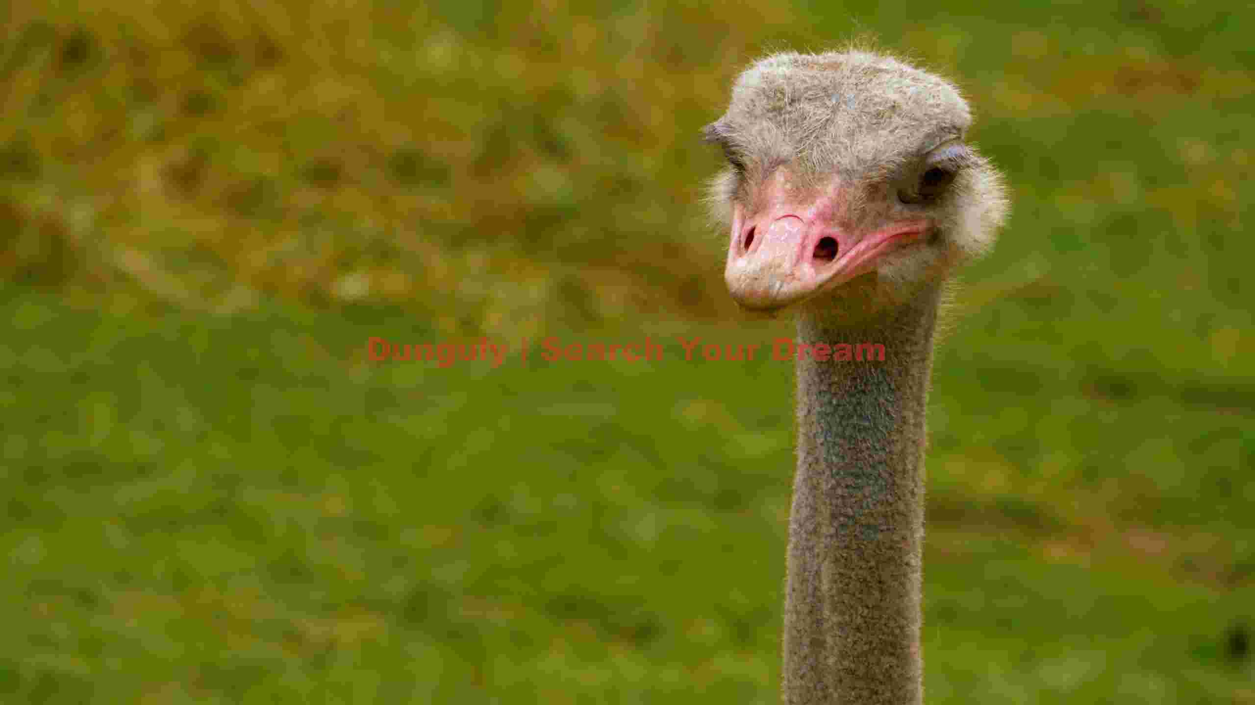 curious ostrich portrait in green curious ostrich portrait in green