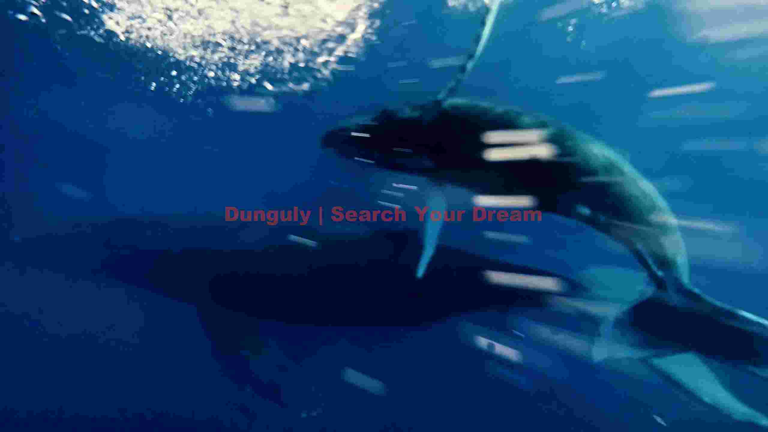 graceful whale duo in deep blue ocean graceful whale duo in deep blue ocean