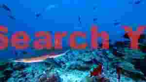 guardian of the reef sharks ocean domain