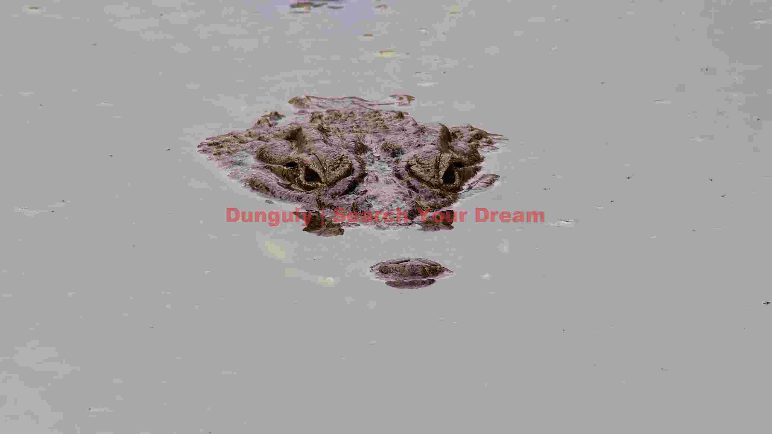 hidden depths alligators stealthy watch hidden depths alligators stealthy watch