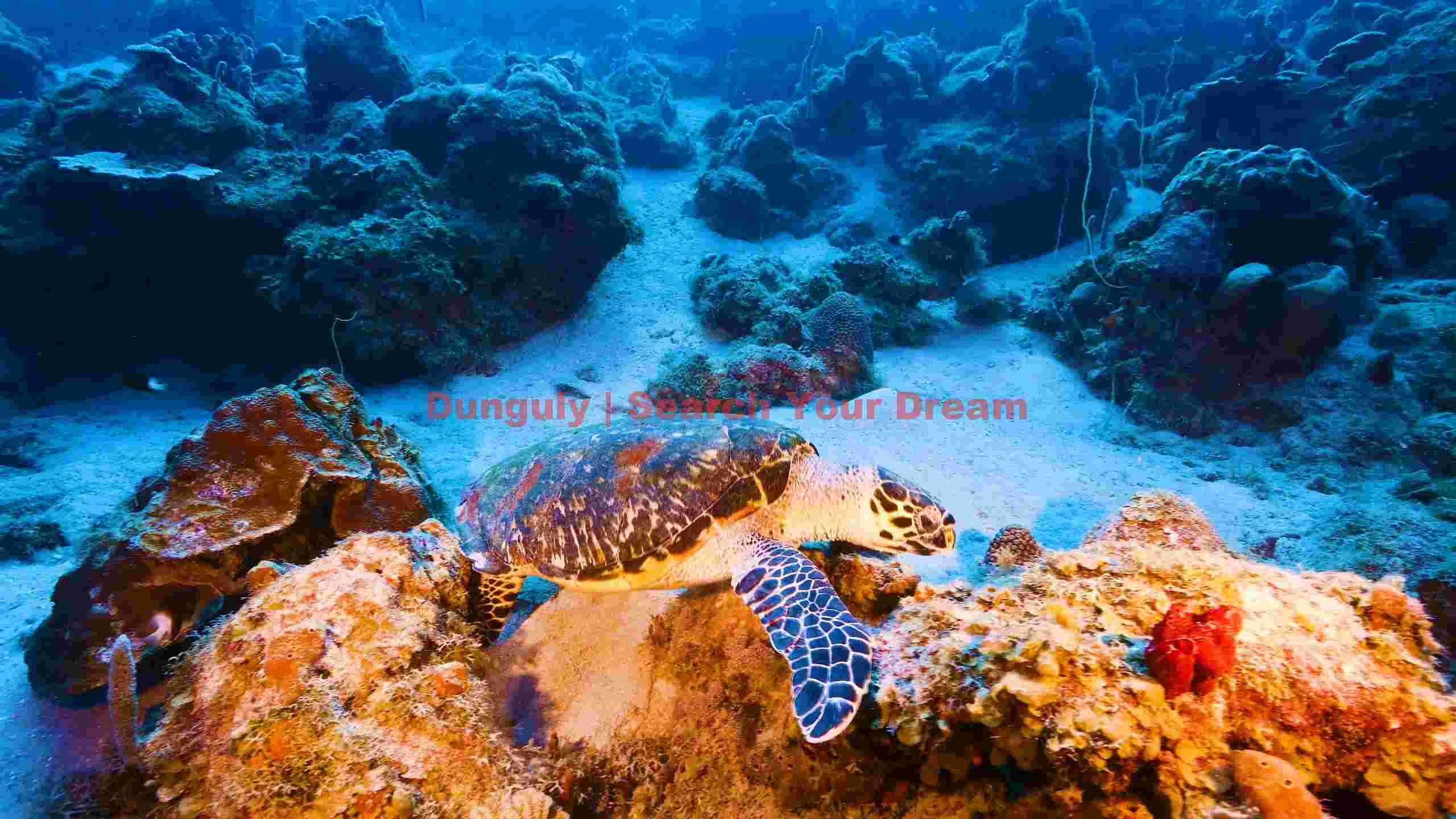 majestic sea turtle in vibrant coral reef majestic sea turtle in vibrant coral reef