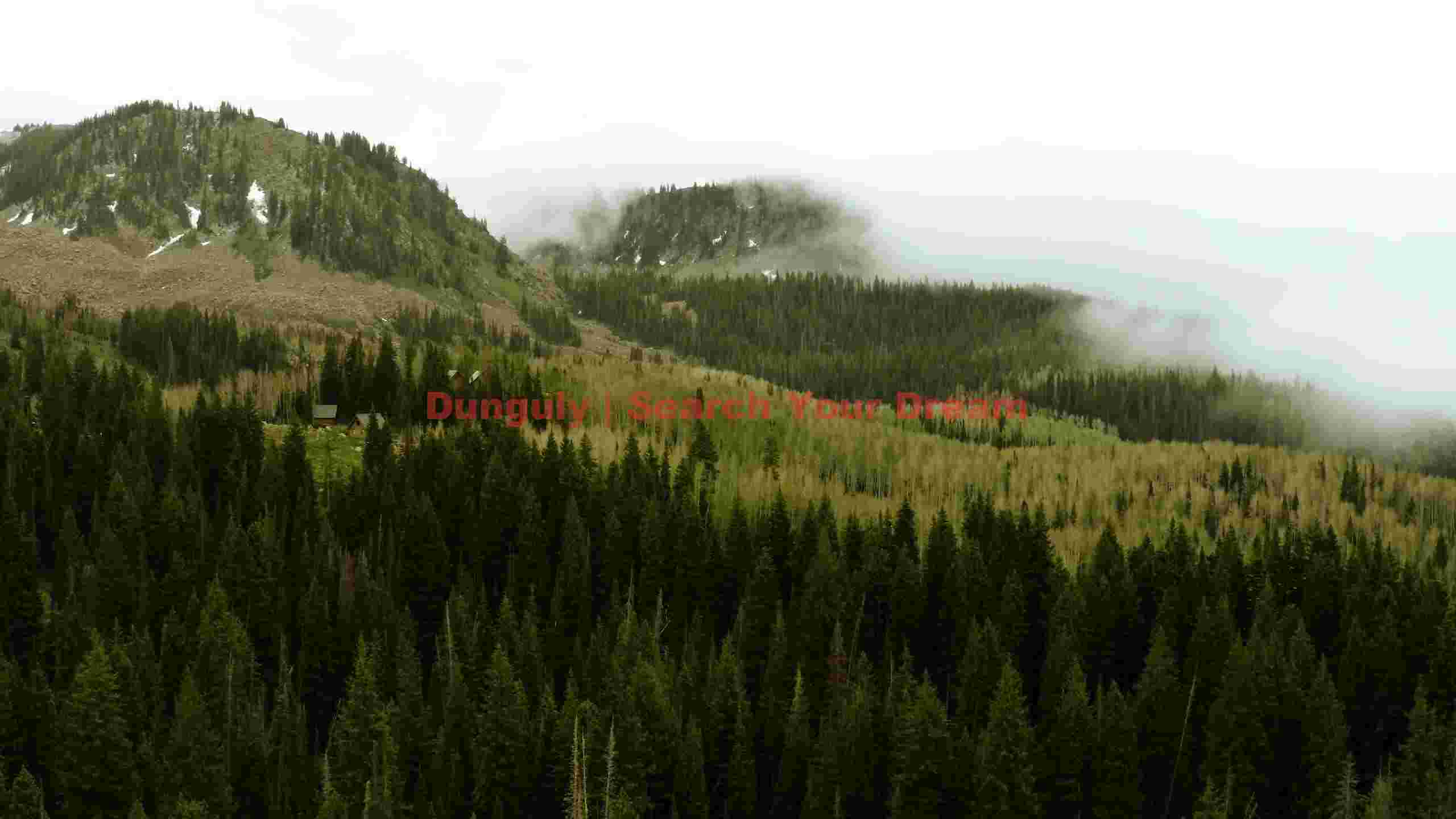 misty mountain forest haven misty mountain forest haven