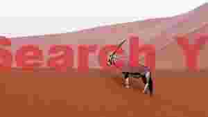 oryx in the namib desert dunes