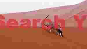 oryx on namibian sand dunes