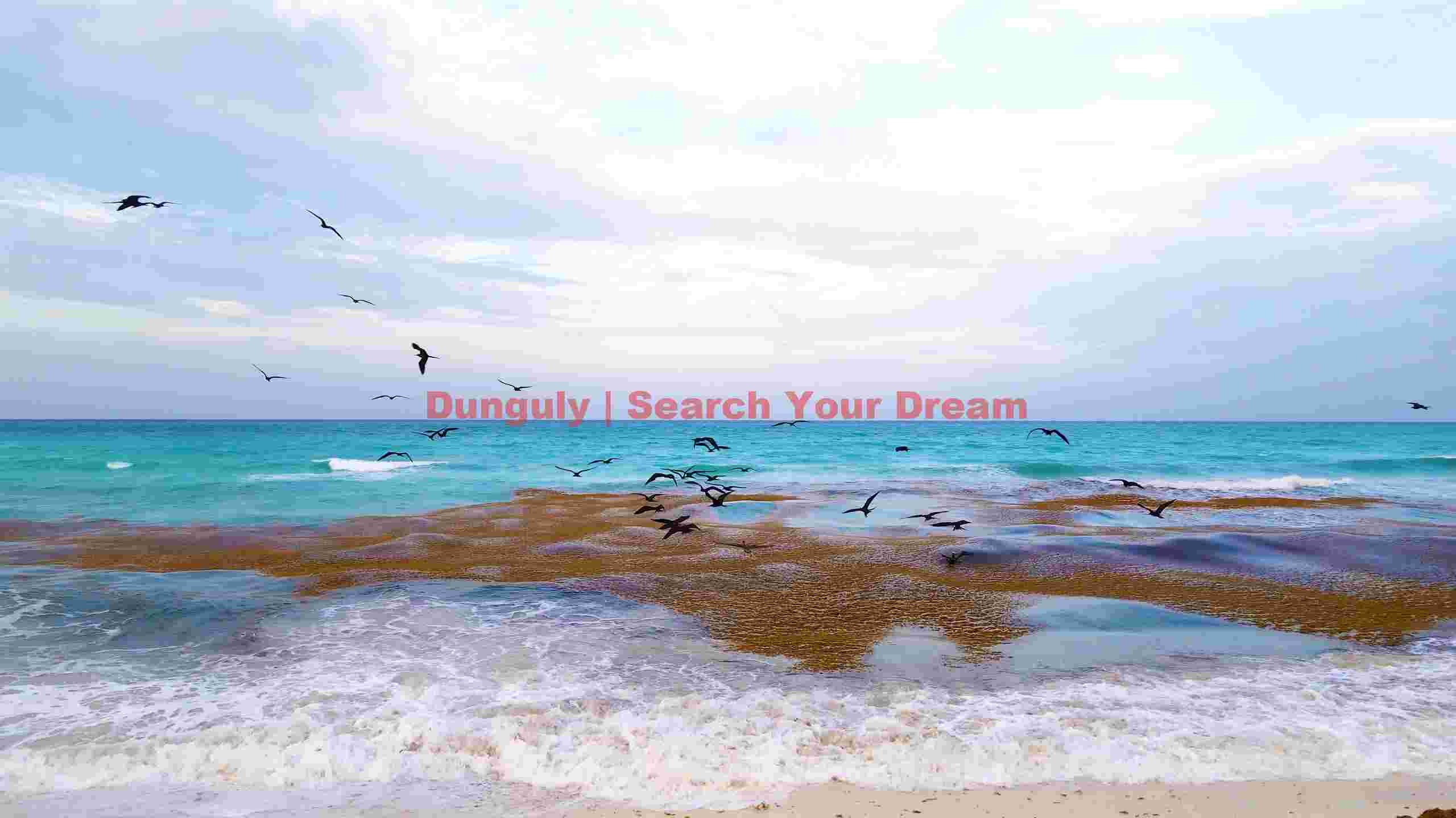 seabirds soaring over turquoise ocean and seaweed beach seabirds soaring over turquoise ocean and seaweed beach