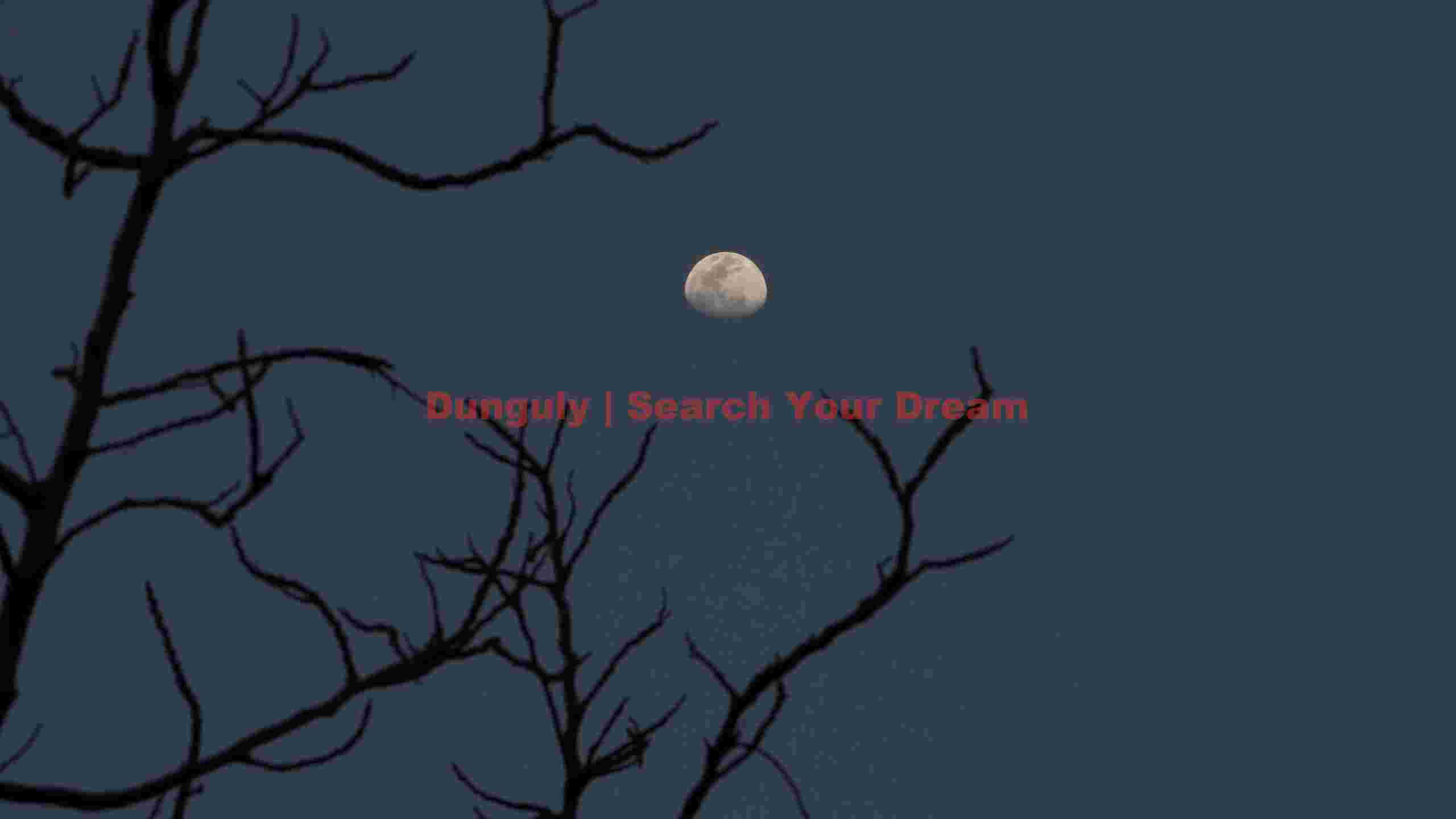 twilight moon framed by bare branches twilight moon framed by bare branches