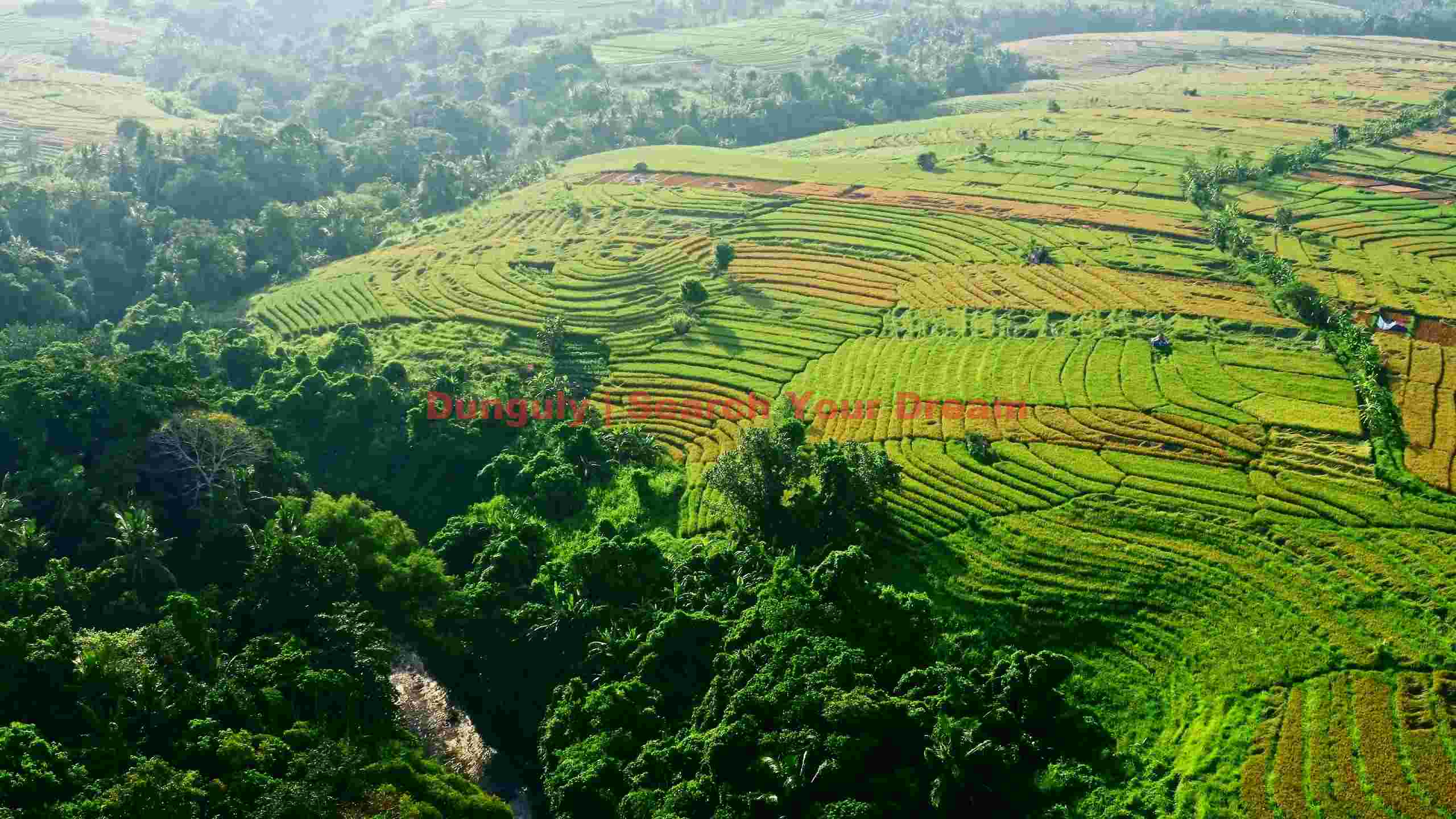 verdant terraced rice fields and lush tropical forests verdant terraced rice fields and lush tropical forests