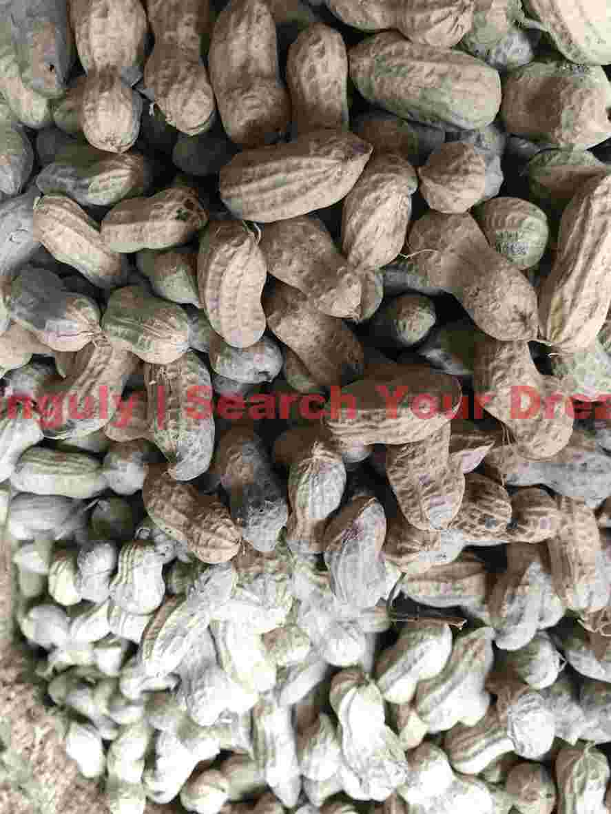 sunset 1040 sunset 1040