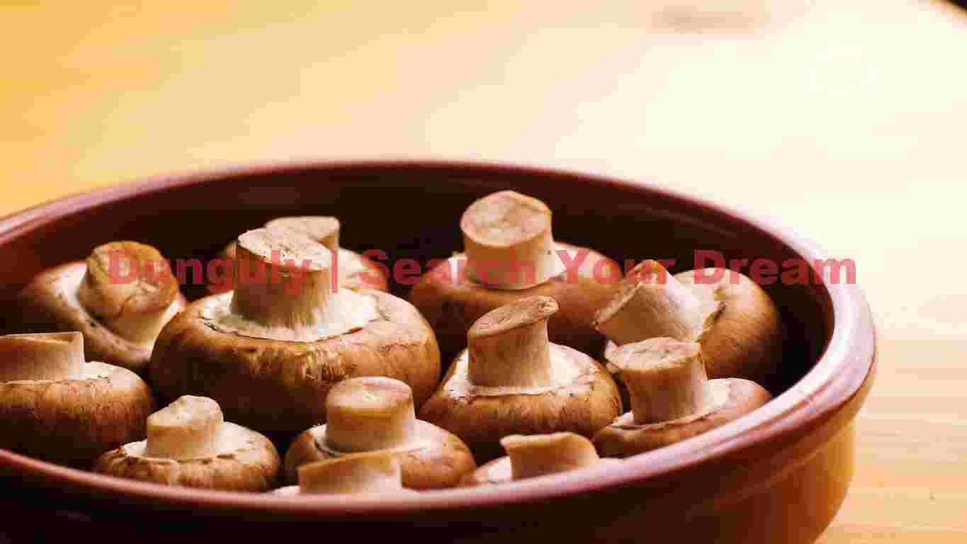 sunset 694 sunset 694