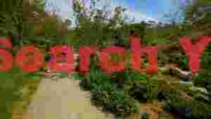 At Home a leisurely stroll through vibrant botanical gardens