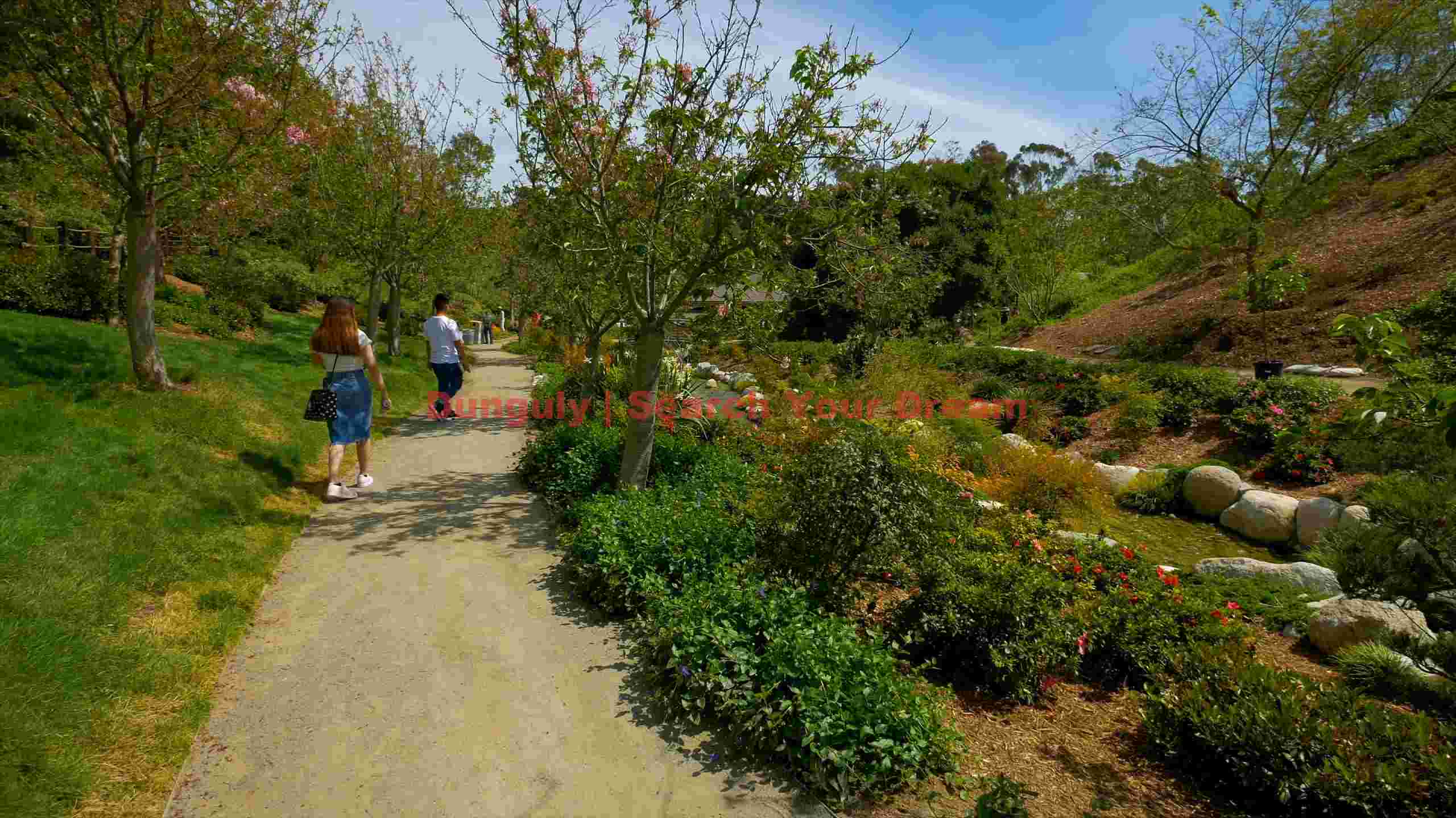 a leisurely stroll through vibrant botanical gardens a leisurely stroll through vibrant botanical gardens