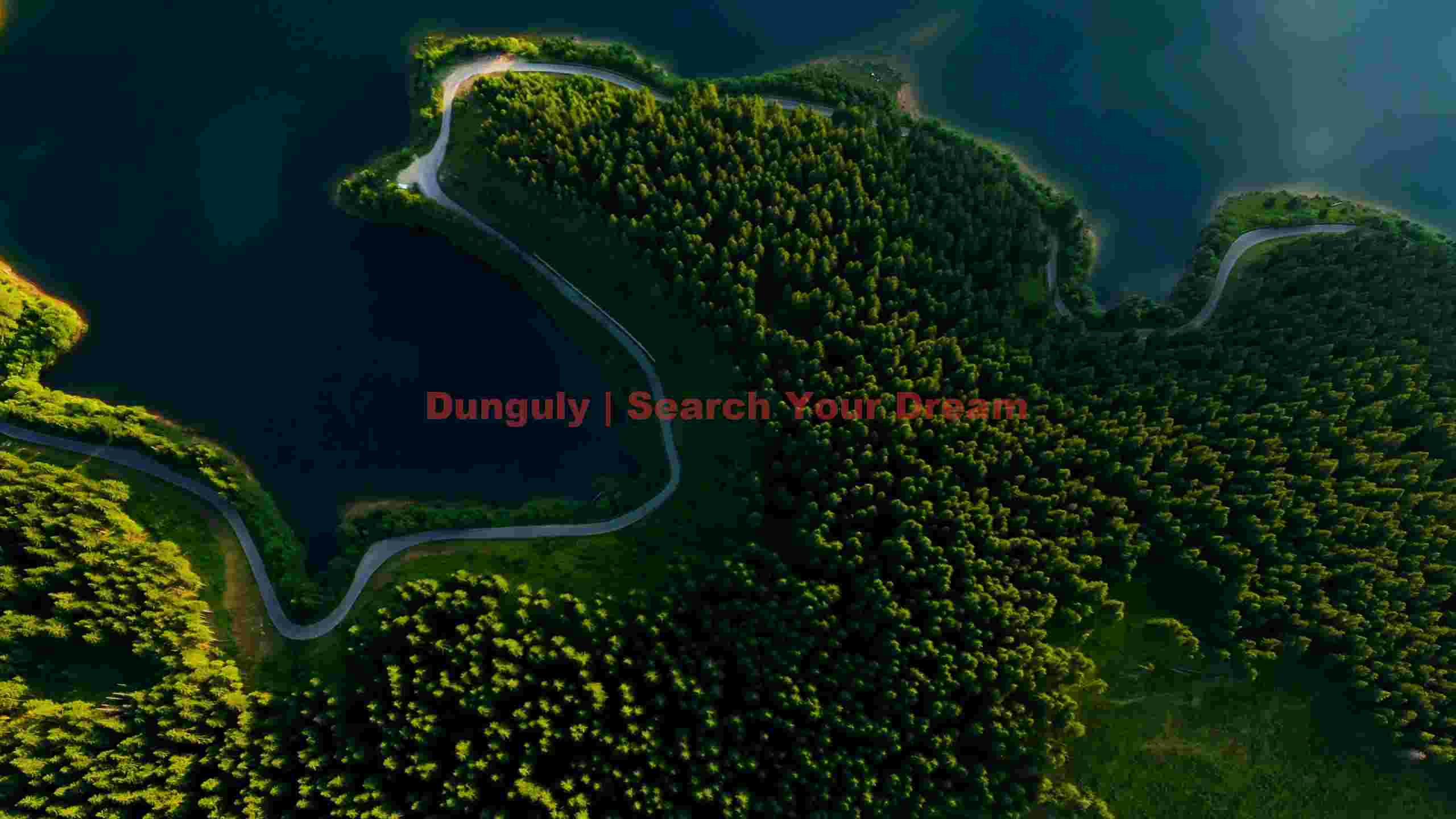 aerial view winding road by serene forest lake aerial view winding road by serene forest lake