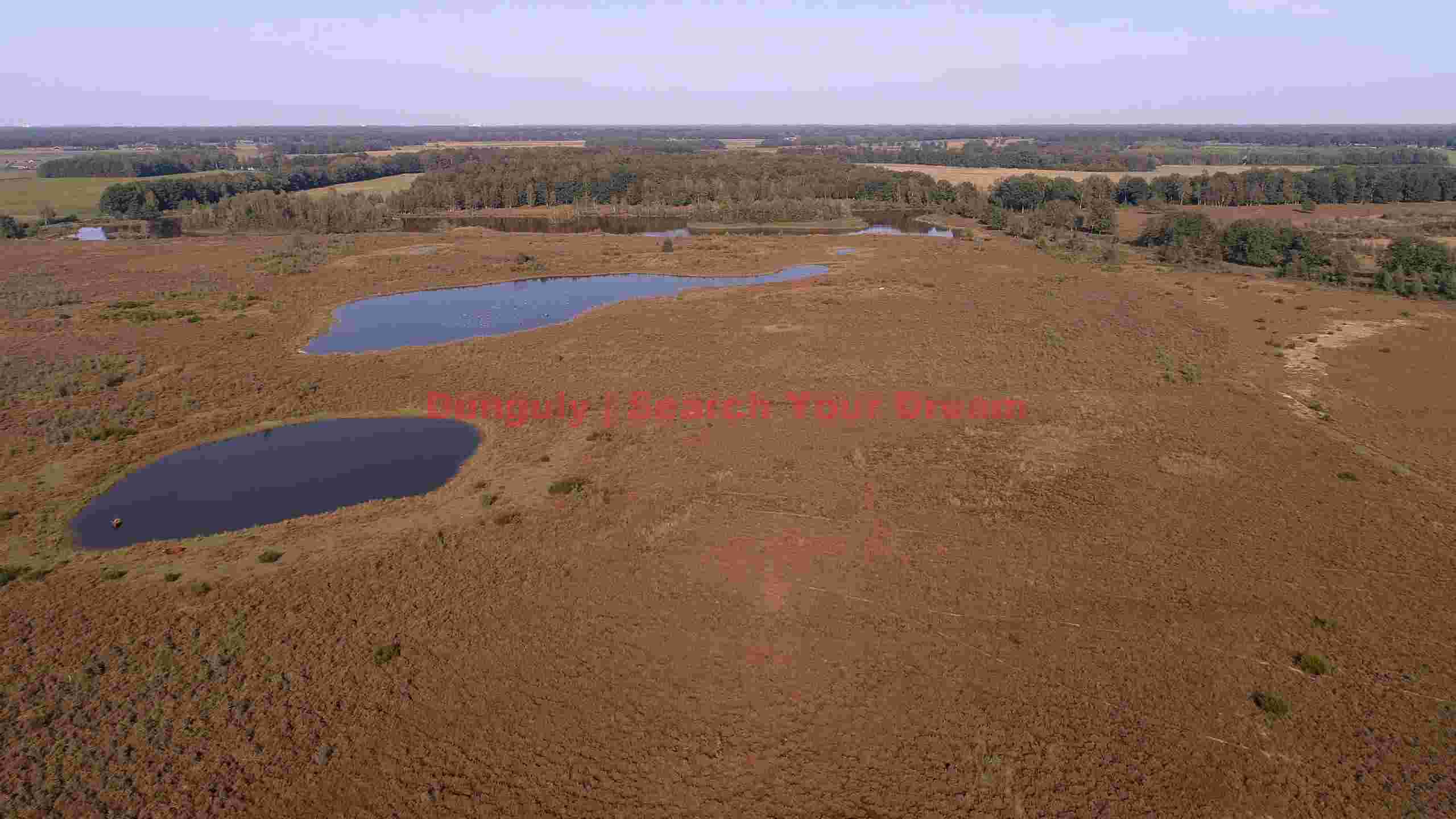 aerial view of heathland ponds with grazing animal aerial view of heathland ponds with grazing animal