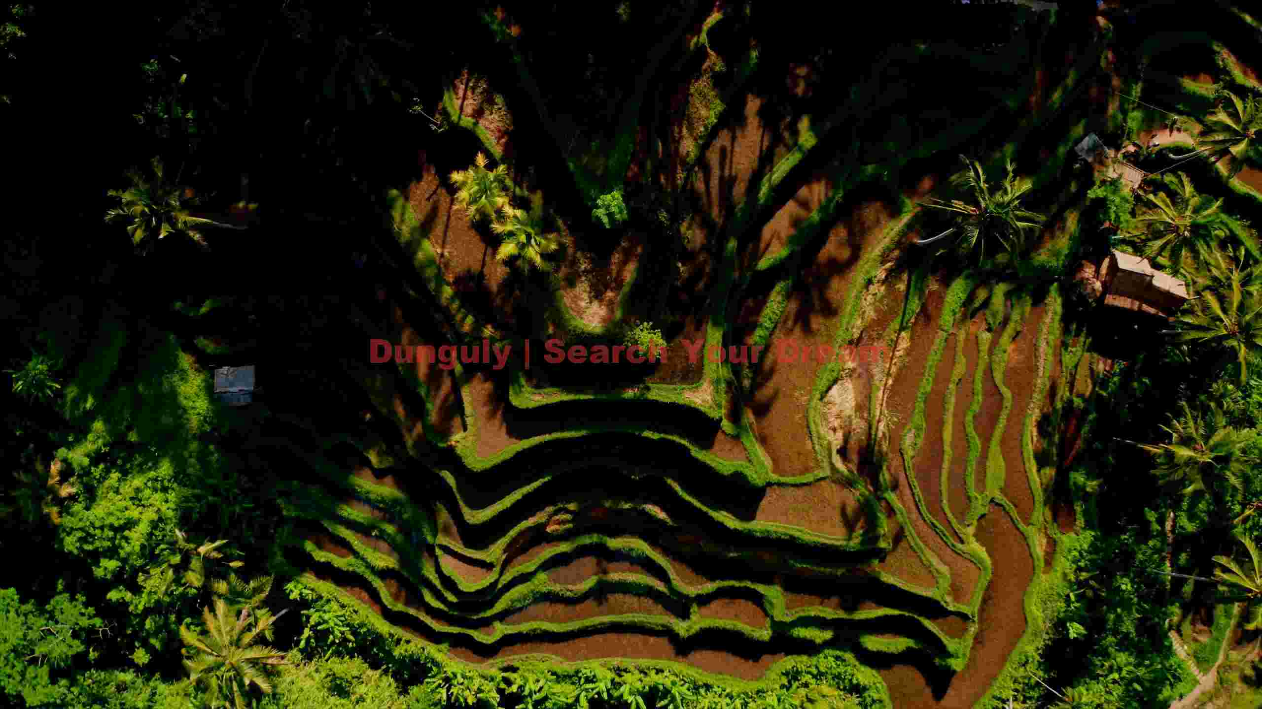 aerial view of verdant rice terraces aerial view of verdant rice terraces