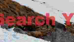 alpine ibex showdown on snowy peaks