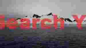 At Home antarctic glacial majesty