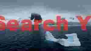 At Home antarctic icy majesty