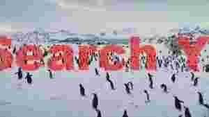antarctic penguin colony on snowy shores