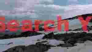 At Home antarctic shoreline icebergs cruise ship and penguins