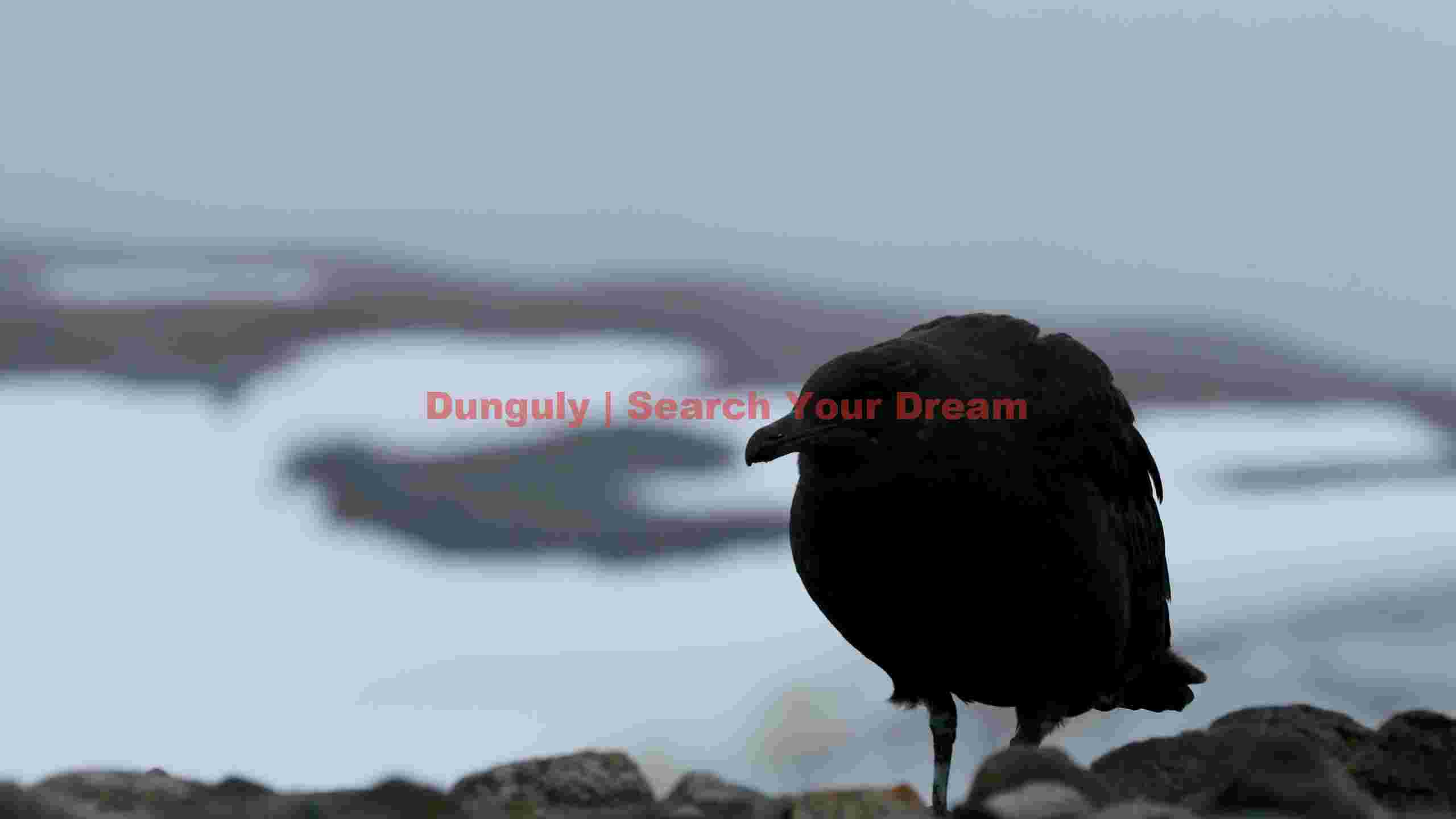 antarctic skua in misty winter landscape antarctic skua in misty winter landscape