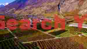 At Home autumn splendor alpine valley vineyards