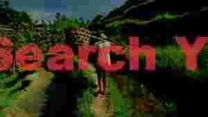 balinese farmer carrying harvest through rice terraces