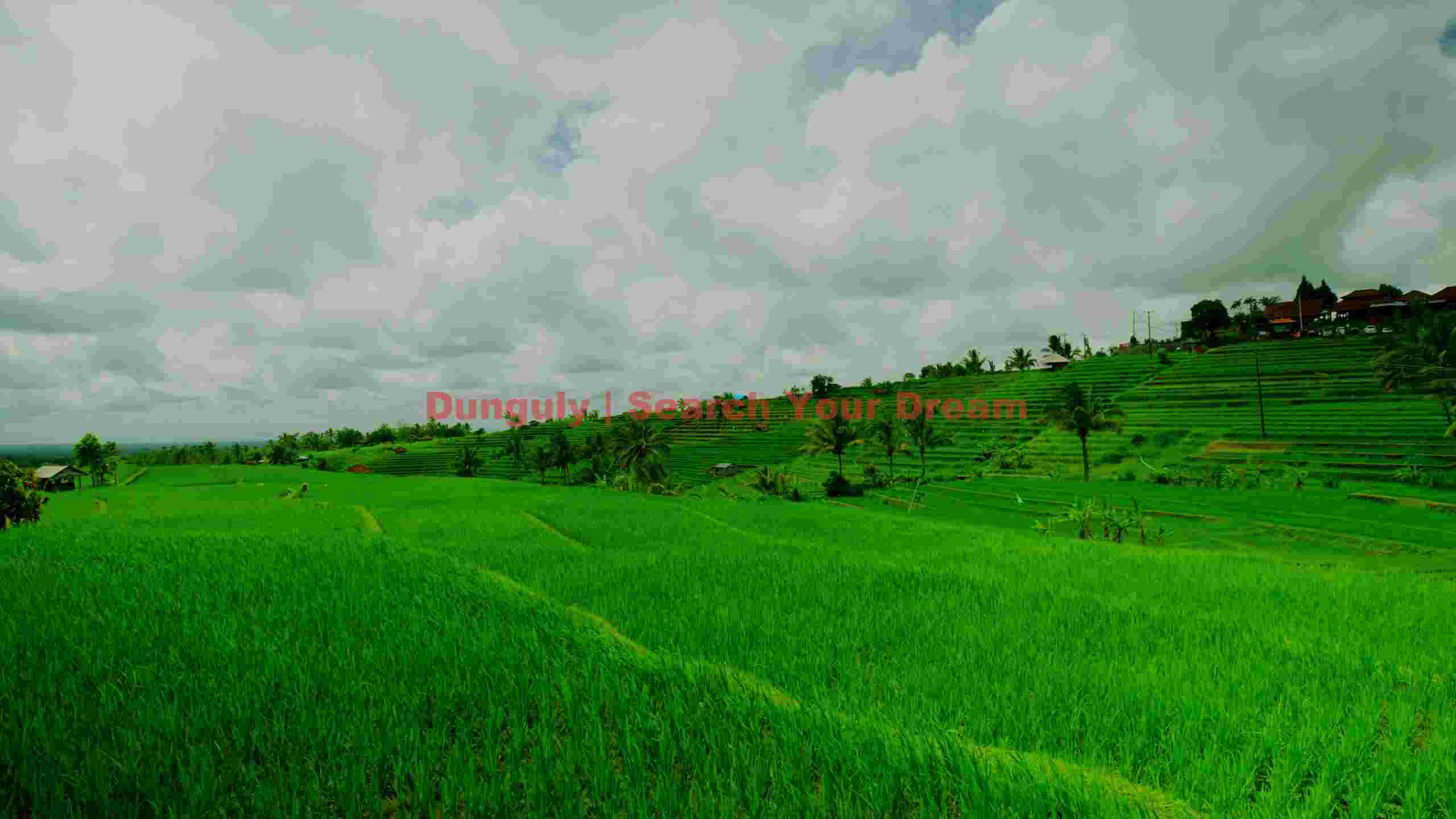 balinese rice terraces under cloudy skies balinese rice terraces under cloudy skies