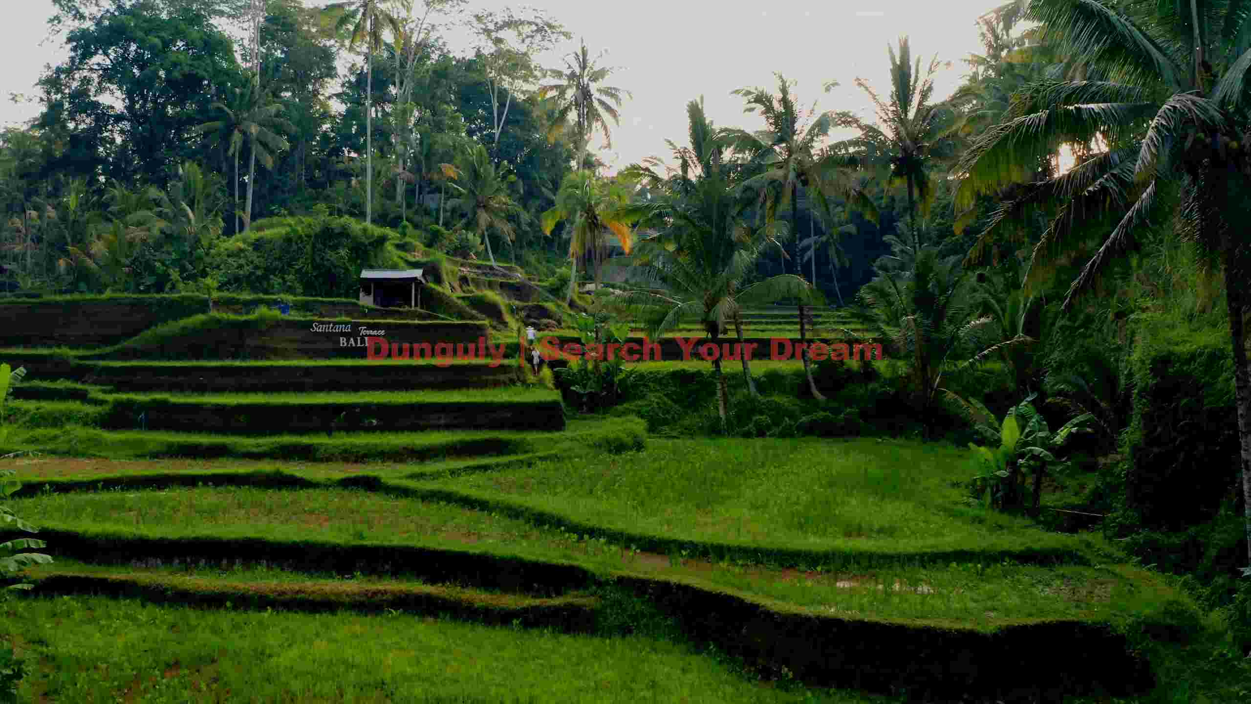 balis emerald steps santana terrace rice paddies balis emerald steps santana terrace rice paddies