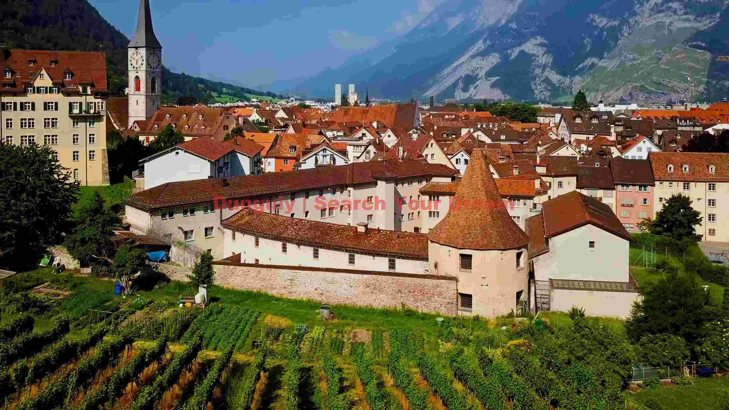 charming alpine village and vineyard panorama charming alpine village and vineyard panorama