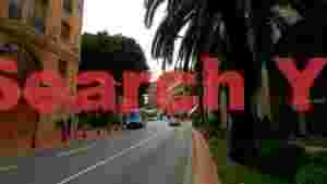 At Home chic monaco avenue with historic buildings and lush palms